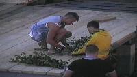 ДОМ-2. После заката Сезон 90 Ночной эфир 2973 дня