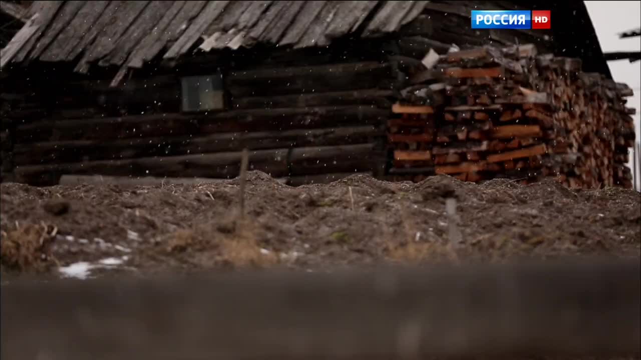 Декабристы. Испытание Сибирью