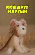 Мой друг Мартын