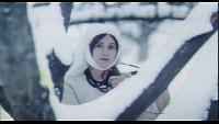 Вечер накануне Ивана Купала